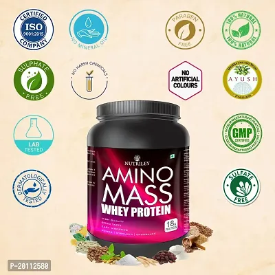 Nutriley Amino Mass - Body Weight / Muscle Gainer Whey Protein Supplement, Muscle Power | Body Gain Muscle Mass | Weight Gain Supplement | Proteins | Muscle Gainer American Ice Cream Flavour 1 KG-thumb2