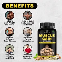 Nutriley Muscle Weight Gain Tablets for Men Women | Advance Weight Gainer 60 Capsules| Weight Gainer / Mass Gainer Capsules | Advanced Formulation| Weight Gain Capsules for women, Mass Gain Capsules-thumb2