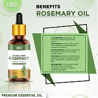 Classic Rosemary Essential Oil - 10Ml 10 Ml- Pack Of 2-thumb3