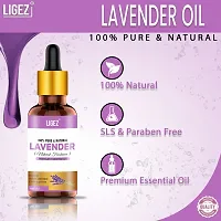 Classic Lavender Essential Oil 15 Ml- Pack Of 2-thumb3