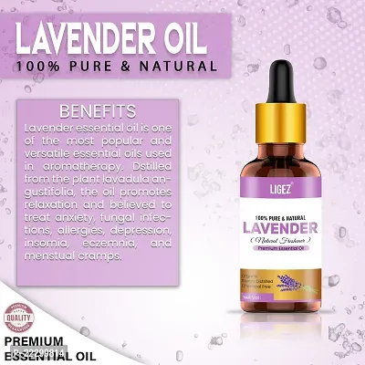 Classic Lavender Essential Oil 15 Ml- Pack Of 2-thumb2