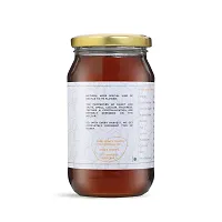 Raw and Unprocessed Honey (500 Gm) (Pack of 1)-thumb1