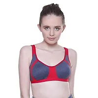 Cloud Dove Women's Cotton  Hosiery Padded Non-Wired Bra (Pack of 3) (COD_Combo_FP3_02_36_Blue  Red_36)-thumb1