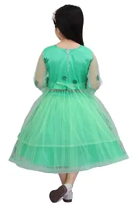 S ALAUDDIN DRESSES Net Casual Midi Dress for Girls-thumb2