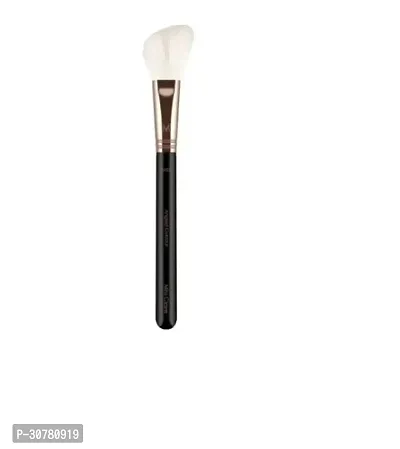 Professional Makeup Tool Brush