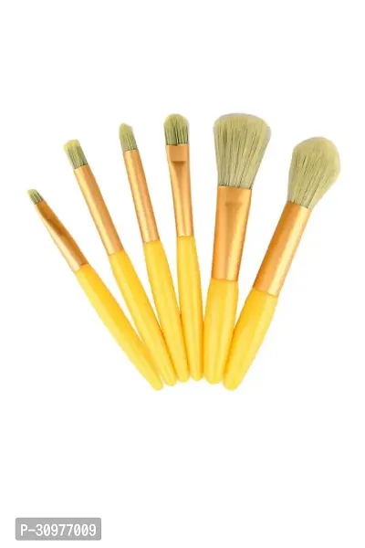 Makeup Cosmetics Brush Set Pack of 5