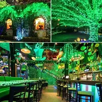 Decorative Led String Fairy Rice Lights for Home-thumb2