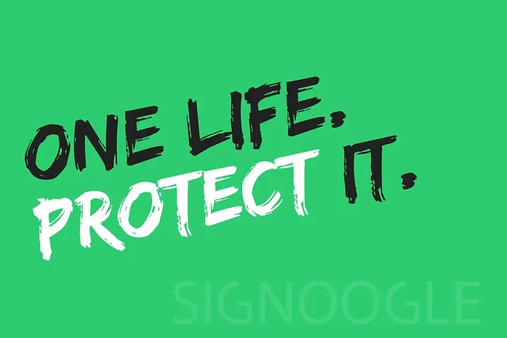 SIGNOOGLE One Life Protect it Wall Quotes Poster for School Room Home Office 16 x 10 inch (Pack of 2)