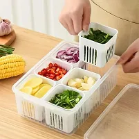 Modern 6 Core Fridge Container (pack of 1)-thumb3