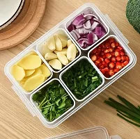 Modern 6 Core Fridge Container (pack of 1)-thumb4