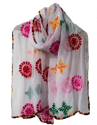 Women's Indian Phulkari  Embroided Dupatta-thumb4