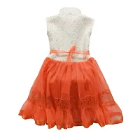 Fancy Net Frock for Baby Girl-thumb1