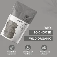 Wild Organic Dead Sea Mud Clay Powder Mineral rich clay for skin Protect from dryness and flakiness,Clear Skin Impurities and for skin Detoxification, Skin Hydration, For Healthy Skin 100gm-thumb4