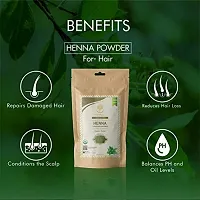 WILD ORGANIC 100% Natural  Pure Herbal Henna Powder/Lawsonia Inermis (Organically Grown) 100 g For Hair Care | Hair Color | No Ppd No Chemicals, No Paraben 100gm-thumb3