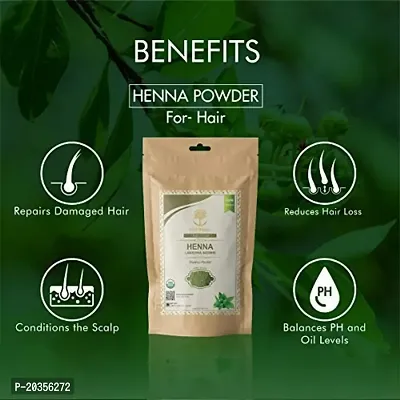 WILD ORGANIC 100% Natural  Pure Herbal Henna Powder/Lawsonia Inermis (Organically Grown) 100 g For Hair Care | Hair Color | No Ppd No Chemicals, No Paraben 100gm-thumb4