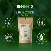 WILD ORGANIC 100% Natural  Pure Herbal Henna Powder/Lawsonia Inermis (Organically Grown) 100 g For Hair Care | Hair Color | No Ppd No Chemicals, No Paraben 100gm-thumb2