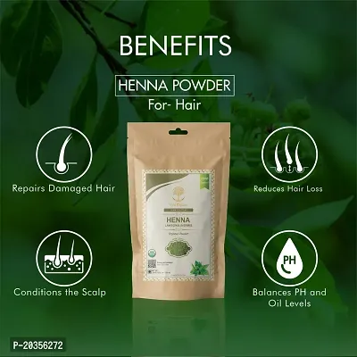 WILD ORGANIC 100% Natural  Pure Herbal Henna Powder/Lawsonia Inermis (Organically Grown) 100 g For Hair Care | Hair Color | No Ppd No Chemicals, No Paraben 100gm-thumb3