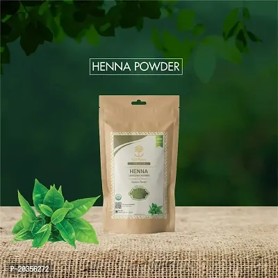 WILD ORGANIC 100% Natural  Pure Herbal Henna Powder/Lawsonia Inermis (Organically Grown) 100 g For Hair Care | Hair Color | No Ppd No Chemicals, No Paraben 100gm