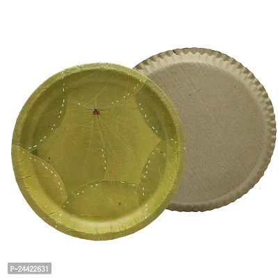 Durable Disposable Plates-50 Packs