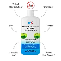 SPA Professionals Damage Repair Hair Bond Shampoo For Damaged, Dry  Frizzy Hair, Hair Growth-thumb1