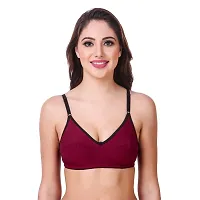 ALYANA Woman's Innerwear Cotton Bra Combo Set Non Wired | Non Padded Regular Bra Pack of 2-thumb4