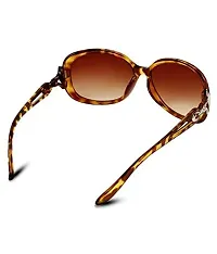 GLAMORSTYL Designer 2022 Butterfly cateye oversize women sunglass(Size Medium) YK0099 (TBROWN)-thumb4