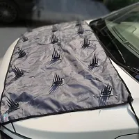 Car bonnet cover dog and monkey protection for Car Ritz-thumb3