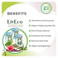LivEco Bhringraj Brahmi Hibiscus Powder For Hair Growth | DIY Organic Herbal Hair Mask 600gms-thumb1