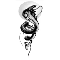 Snake Animal Tattoo Waterproof Sticker Background Stock Temporary Body Tattoo-thumb1