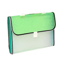 Plastic File Folder Bag Document File Organizer Full Expanding A4 Size with Multi Pockets  Handle(Random colors)-thumb4