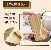 G-MART Cutting Board for Kitchen with an Handle Heavy Duty Stain Resistant Non Slip Chopping Board-Durable Smooth 22CM X 32CM (Ring Handle)-thumb3