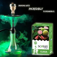 Superior Guava Herbal Hookah Flavour  (Pack Of 5)-thumb2