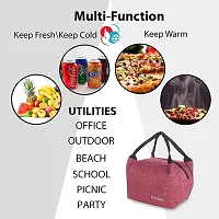 Amyence Lunch Bags for Office Women  Men Insulated Lunch Bag for Kids Tiffin Bag for Organizer Storage Lunch Box Portable and Reusable ? Maroon-thumb3