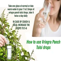 Vringra Ultra Panch Tulsi Drops - Stamina  Immunity Booster - Relief from Cough  Cold  (30 ml)-thumb3