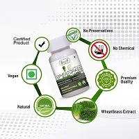 Vringra Wheatgrass Capsules | Boost Immunity | Wheatgrass Extract Capsules | Pack of 1-thumb4