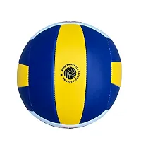 Classic Eagle PVC Volleyball Official Size and weight With Air Pump-thumb2