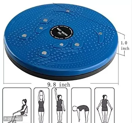 Acupressure Twister Ab Exerciser