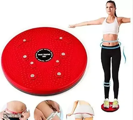 Acupressure Twister Ab Exerciser