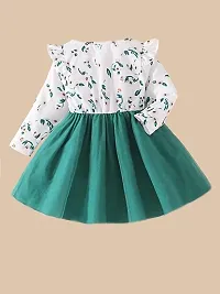 OMLI Baby Floral Print Ruffle Trim Bow Front Mesh Hem Dress (2-3 Years) Green-thumb1