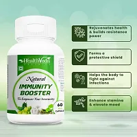 Health Veda Organics Natural Immunity Booster Capsules with Green Amla Powder, Giloy Powder, Mint leaves Powder I 60 Veg Capsules I Boosts Immune System I For both Men  Women-thumb2