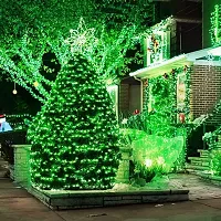 M.K Group Retails Dhoom LED Pixel Lights 12 Meter 40 Led Waterproof Decorative String Fairy Rice Lights for Indoor and Outdoor Decoration Lights Plug-in (Green , Pack of 1)-thumb1