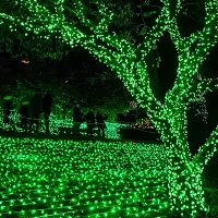 M.K Group Retails Dhoom LED Pixel Lights 12 Meter 40 Led Waterproof Decorative String Fairy Rice Lights for Indoor and Outdoor Decoration Lights Plug-in (Green , Pack of 1)-thumb3