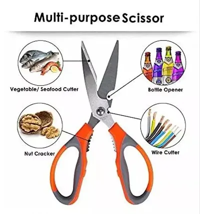 Stainless Steel Scissor