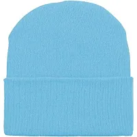 THE BLAZZE 2015 Winter Beanie Cap for Men and Women (1, Turquoise Blue)-thumb1