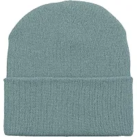 THE BLAZZE 2015 Unisex Winter Caps-thumb1