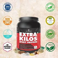 Nutriley Extra Kilos - Body Weight / Muscle Gainer Whey Protein Supplement, Muscle gainer supplement, Whey protein supplement, Natural Body gain powder, Muscle badhane ke liye protein 500 G-thumb3