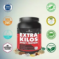 Nutriley Extra Kilos - Body Weight / Muscle Gainer Whey Protein Supplement, Muscle gainer supplement, Whey protein supplement, Natural Body gain powder, Muscle badhane ke liye protein 500 G  Mango-thumb3