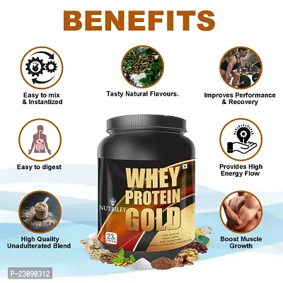 Nutriley Whey Protein Gold Powder Nutritional Supplement, Muscle Protein, Muscle Gainer, Body Gainer Protein, Muscle Gainer Protein, Whey Protein, Whey Protein 500 G Mango Flavour-thumb3