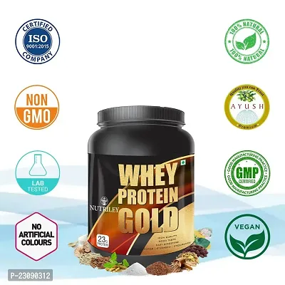 Nutriley Whey Protein Gold Powder Nutritional Supplement, Muscle Protein, Muscle Gainer, Body Gainer Protein, Muscle Gainer Protein, Whey Protein, Whey Protein 500 G Mango Flavour-thumb5