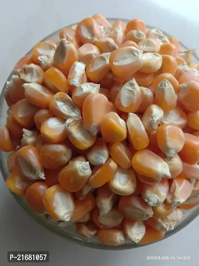 Uzhavan Unavu - Organic - Corn / Maize/ Makka/Makkajonna/Makka Chollam -1 kg-thumb0